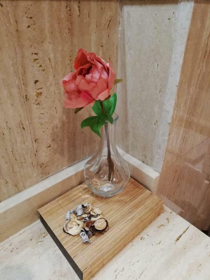 サント・ハウメ・デンヴェハResidencial Delta Garden'Sアパートメント エクステリア 写真